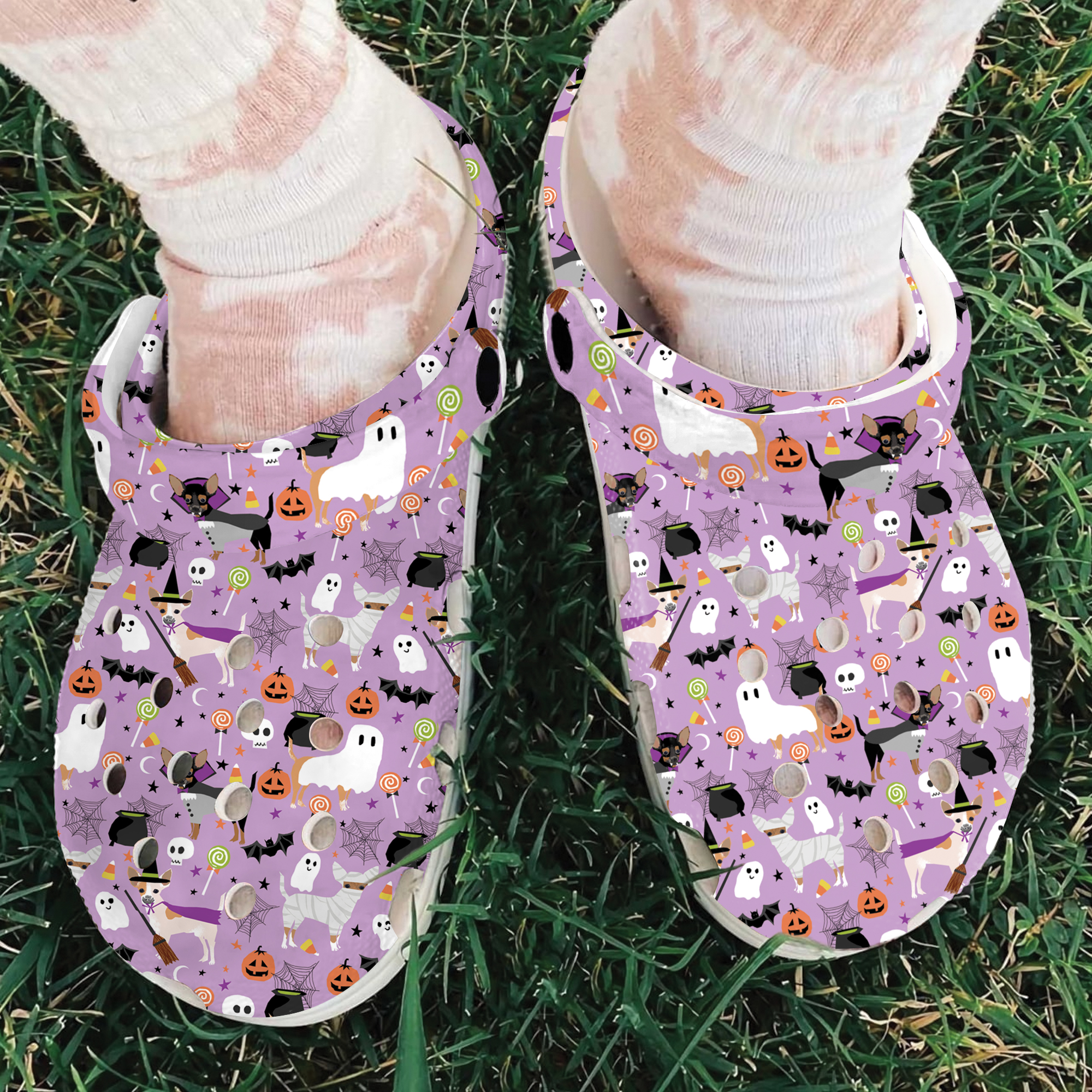 Chihuahua Halloween Clogs
