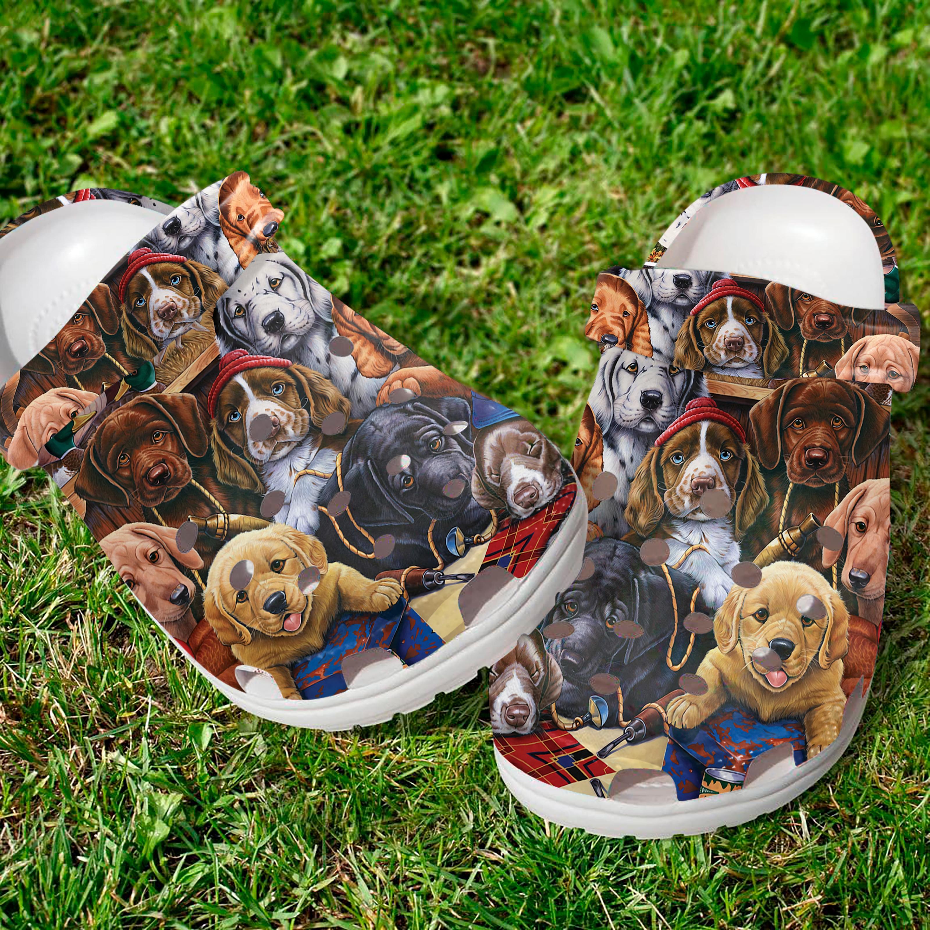 Lab Slippers